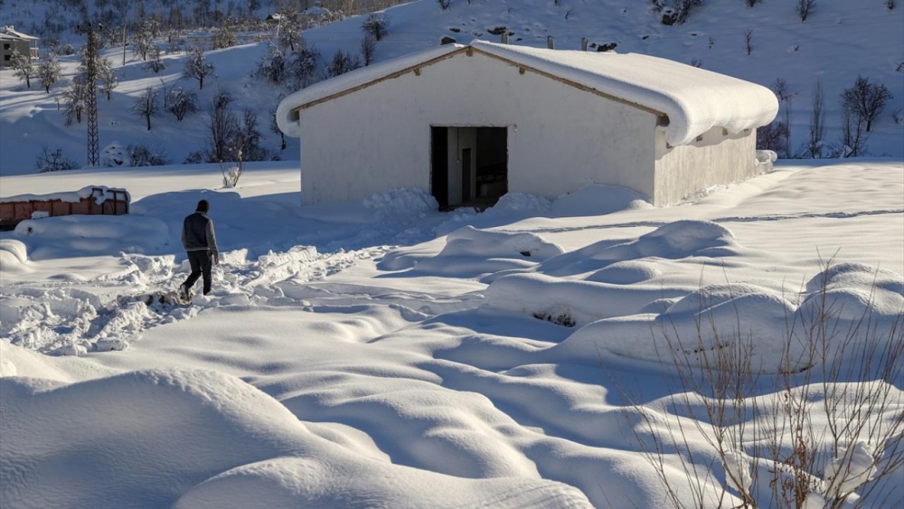 Kar Yüksekova'ya hem çile hem güzellik getirdi 26